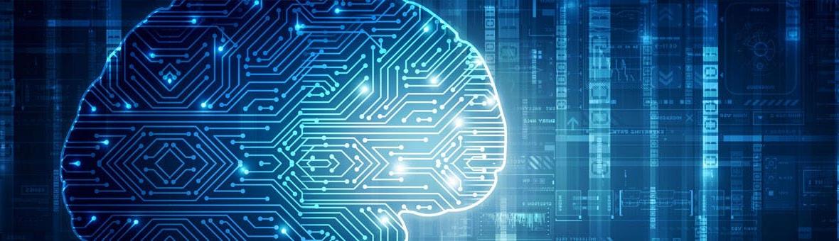 brain and algorithm visual